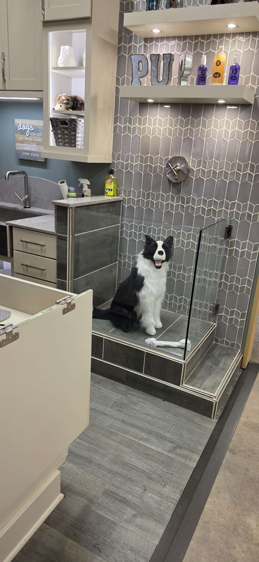 Pet washing station with storage