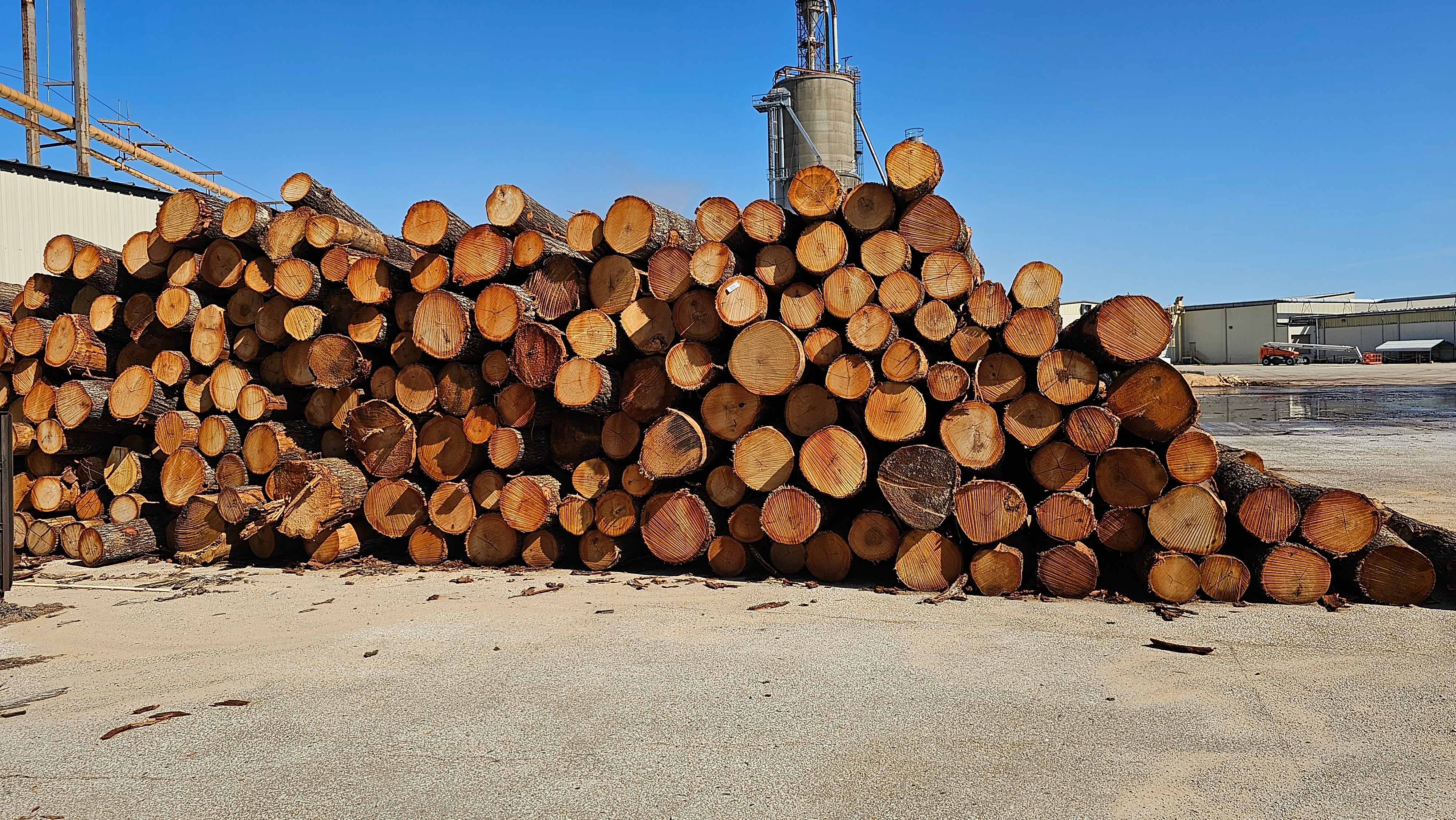 American sourced timber logs